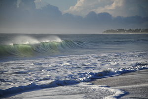 Incoming Spray  36.24