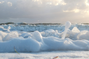 Cotton Foam One  36.24