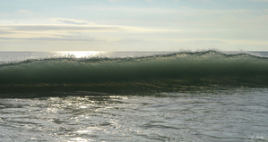 Edge Loss Four  55.29