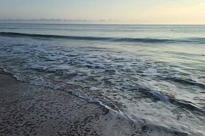 Ocean Serenity  36.24