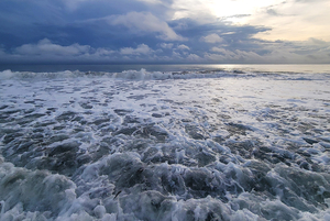 Receding Waters  36.24