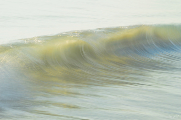 Soft Glimpse  48.32 Print