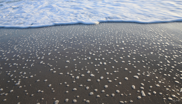 Receding Bubbles  72.41 Print