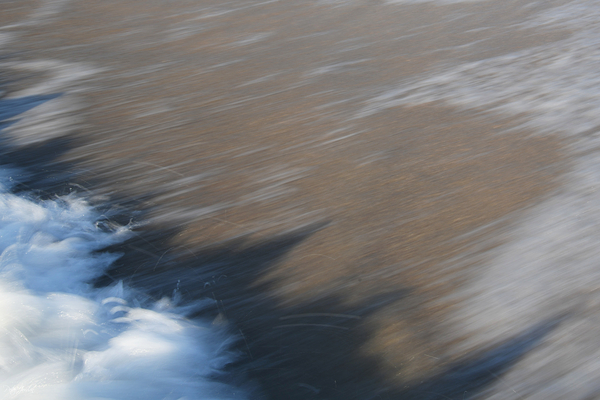 Momentary Shadows 48.32 Print