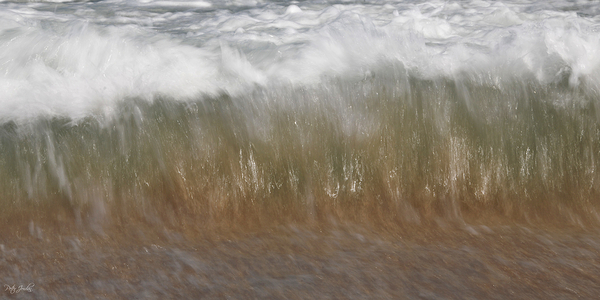 Green Florets 48.24 Print