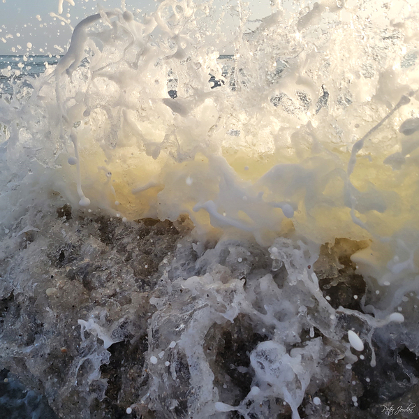 Morning Splash  48.48 Print