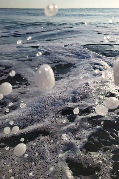 Splash Five 32.48 Print