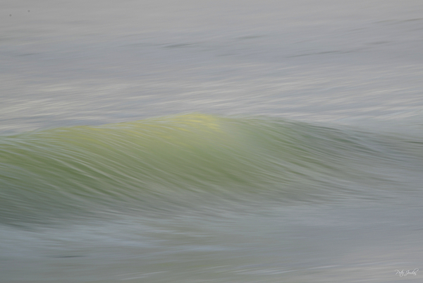 Green Swell  60.40 Print