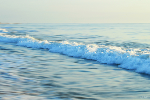 Painted Foam  60.40 Print