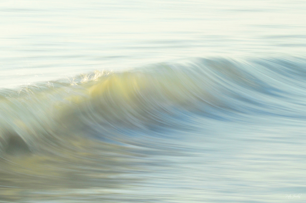 Sparkling  60.40 Print