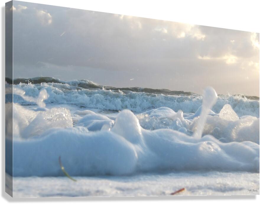 Cotton Foam One  36.24 Canvas Print