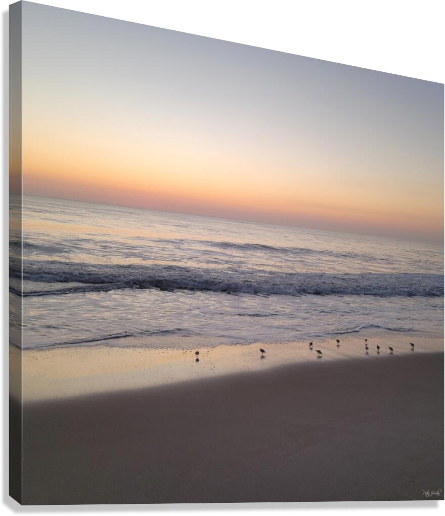 Sandpiper Morning  36.36 Canvas Print
