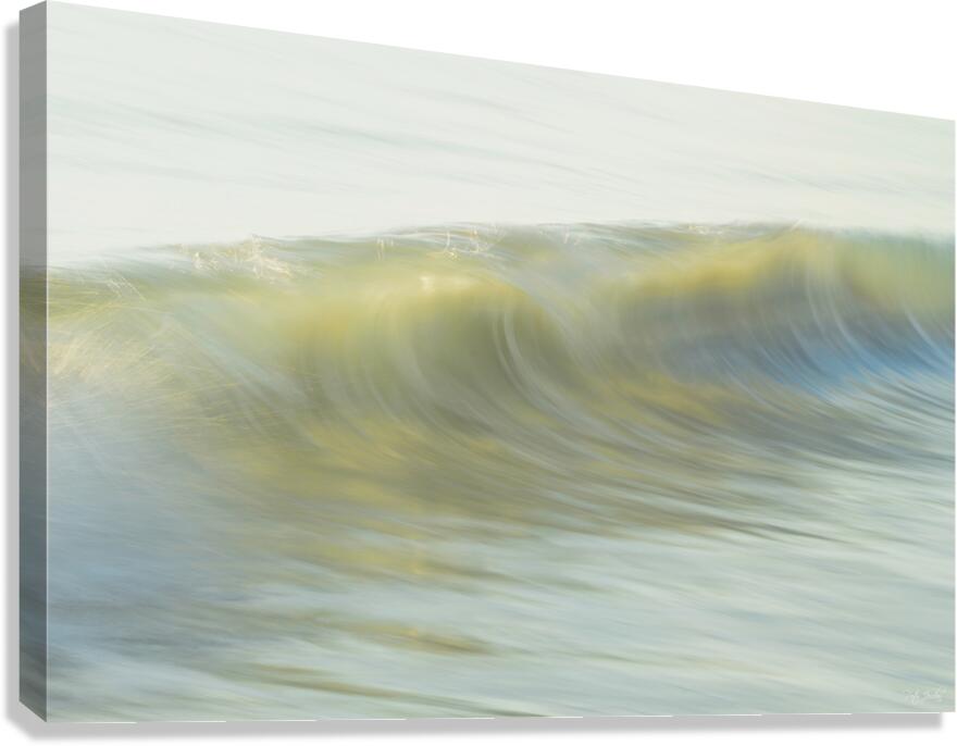 Soft Glimpse  36.24 Canvas Print