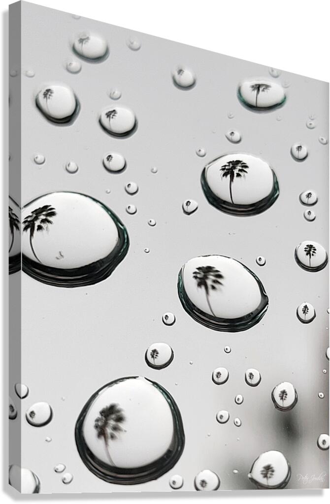 Palm Tree Thoughts One 32.42 Canvas Print