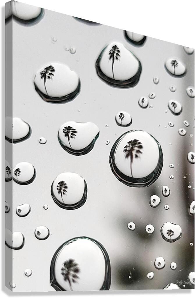 Palm Tree Thoughts Two  41.55 Canvas Print