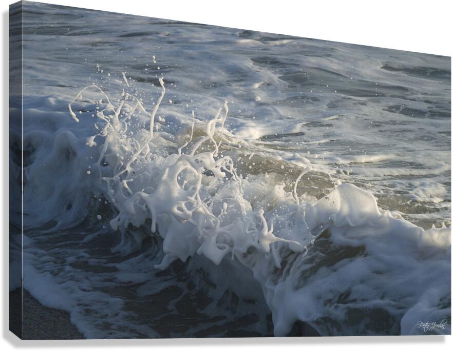 Foam in the Light Two  48.32 Canvas Print