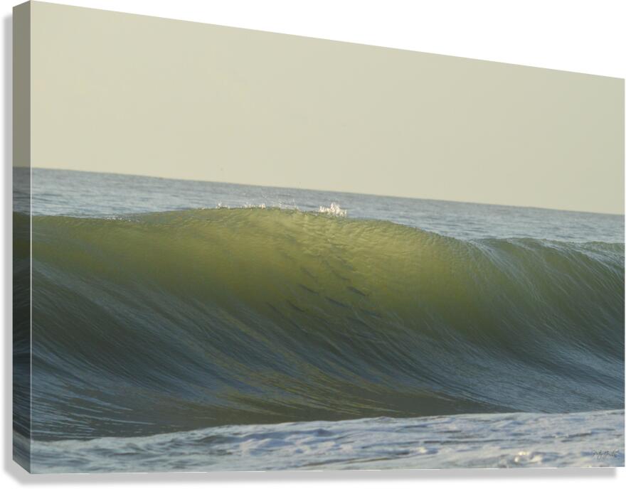 Fish Shadows  48.32 Canvas Print