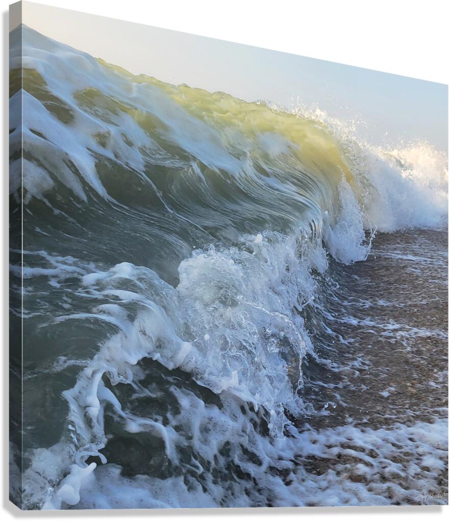 Curling Break  48.48 Canvas Print