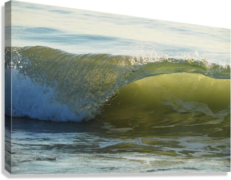 Wave Curl  60.40 Canvas Print