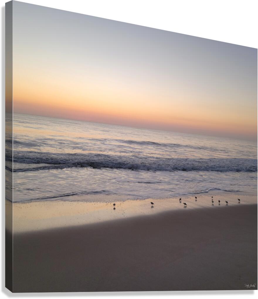 Sandpiper Morning  48.48 Canvas Print