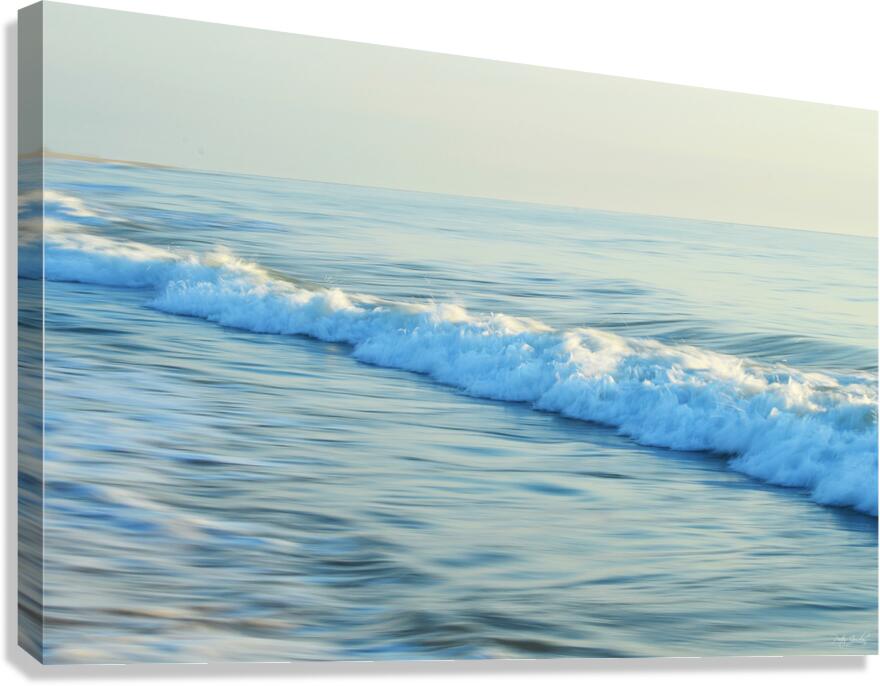 Painted Foam  60.40 Canvas Print