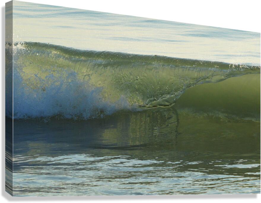 Glass Reflection  36.24 Canvas Print