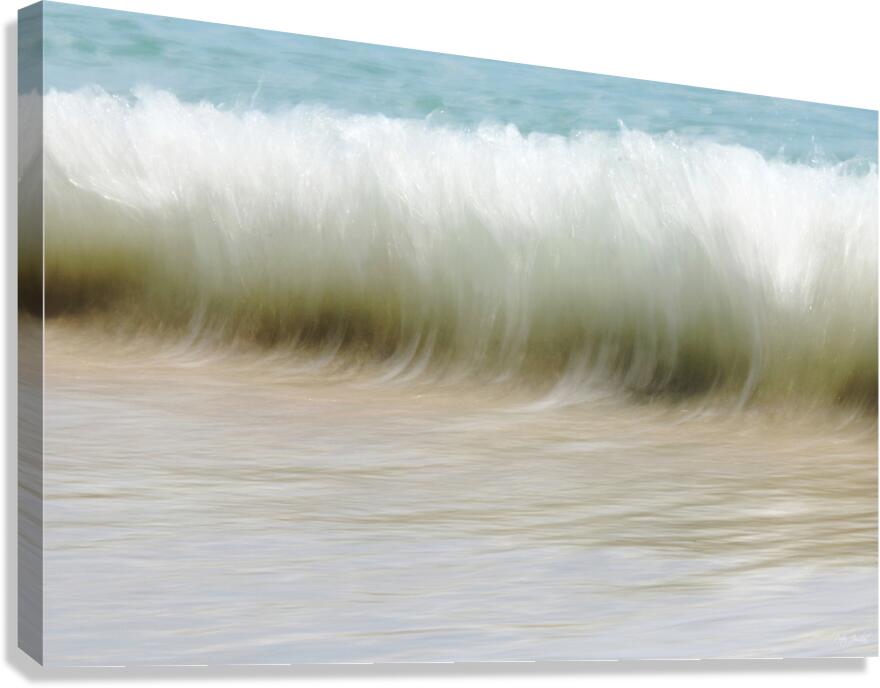 Up from the Depths 48.32 Canvas Print