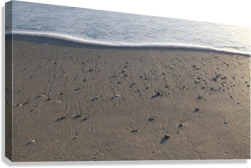 Foam Line with Shells 60.34 Canvas Print