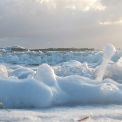 Cotton Foam One  36.24