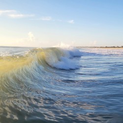 Translucent Wave  36.27