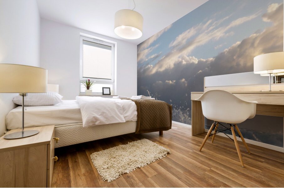 Crystal Splash One  36.27 Mural print