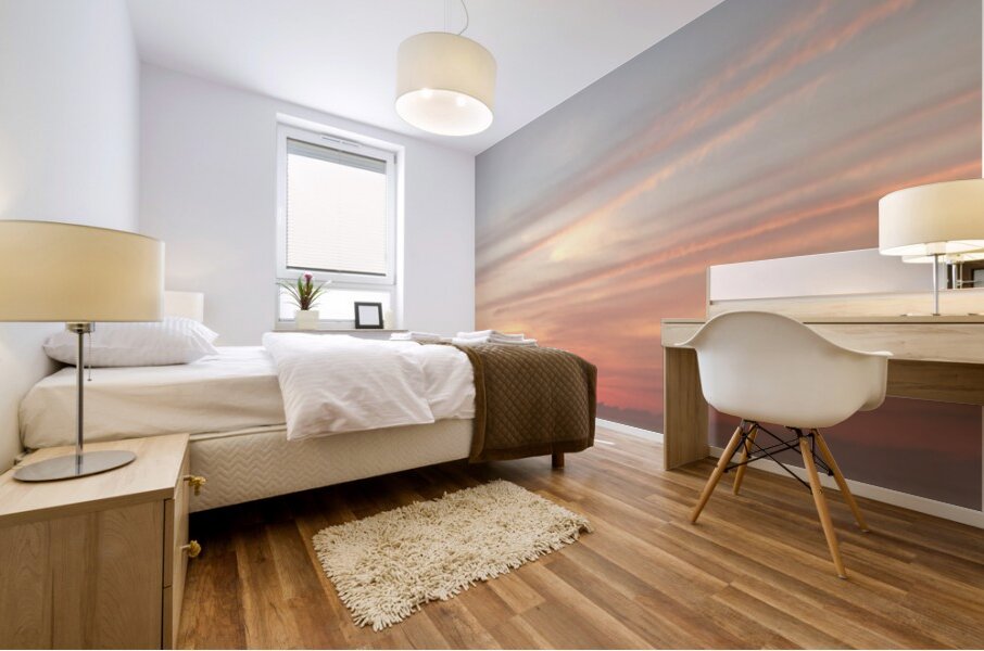 Dawn Hues  60.20 Mural print