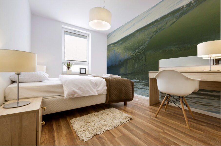 Glass Reflection  36.24 Mural print