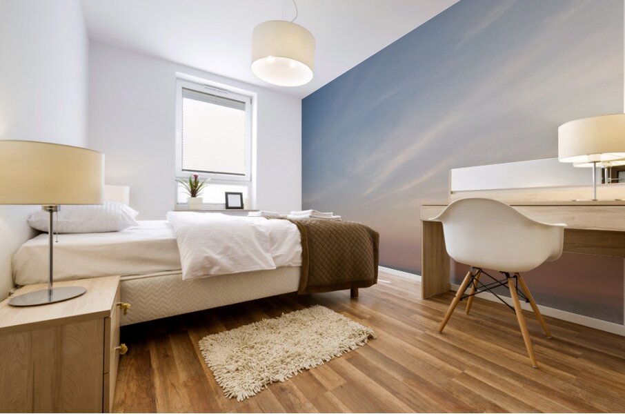 Dawns Reveal  72.29 Mural print