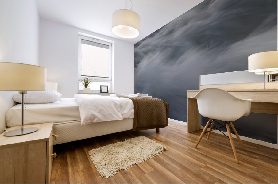 Dream Trails 72.41 Mural print