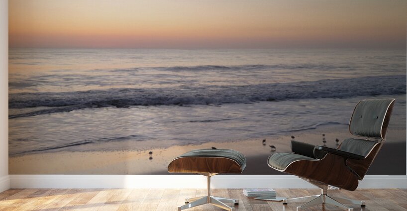 Sandpiper Morning  36.36 Wall Murals