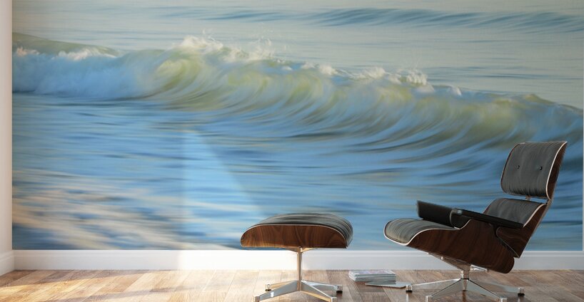 Sweeping Foam  60.34 Wall Murals