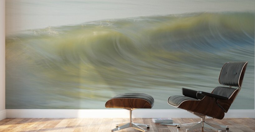 Soft Glimpse  60.40 Wall Murals