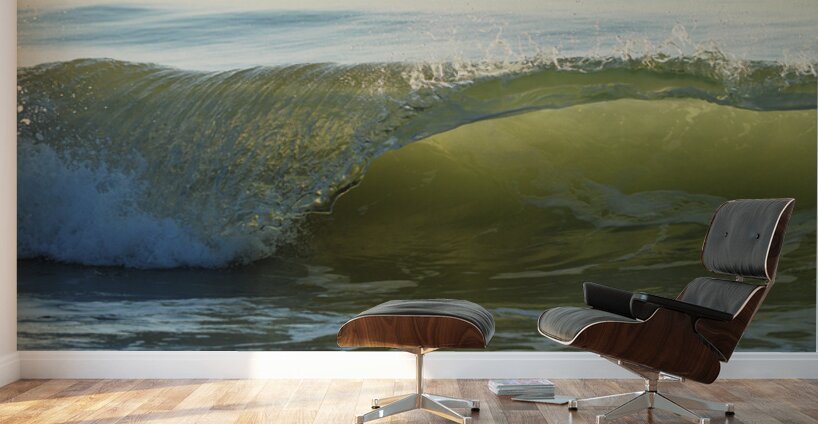 Wave Curl  72.48 Wall Murals