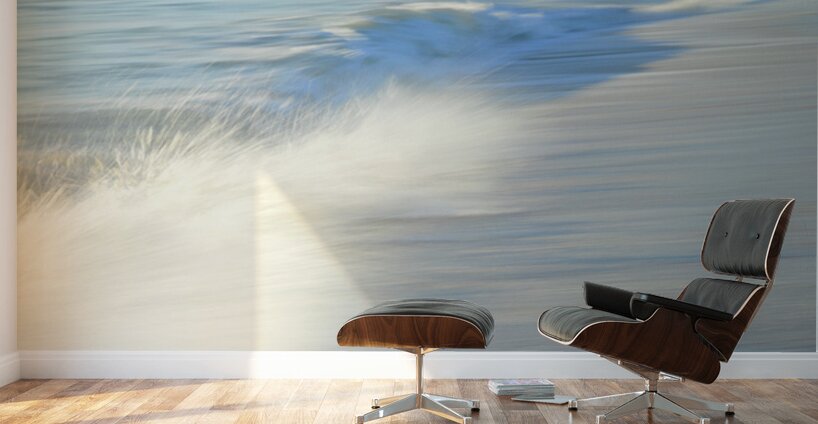 A Momentary Explosion  36.24 Wall Murals