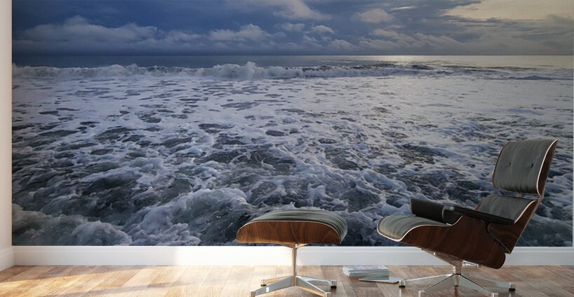 Receding Waters 60.40 Wall Murals