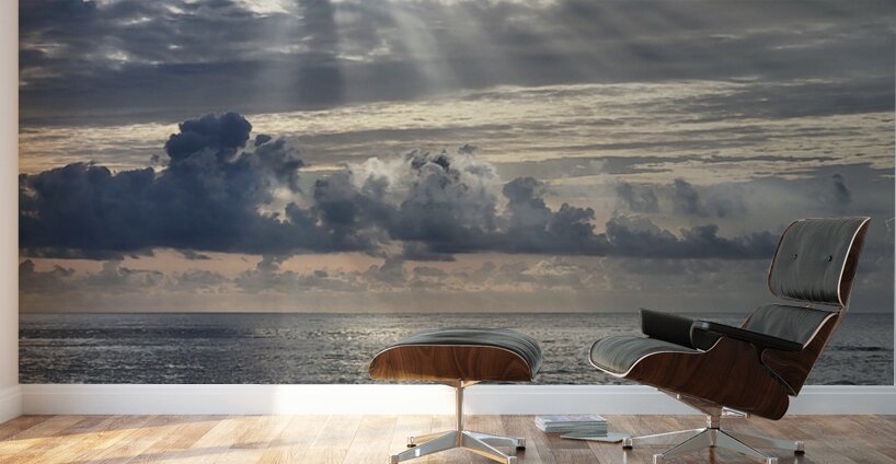 Morning Breaks One  48.48 Wall Murals