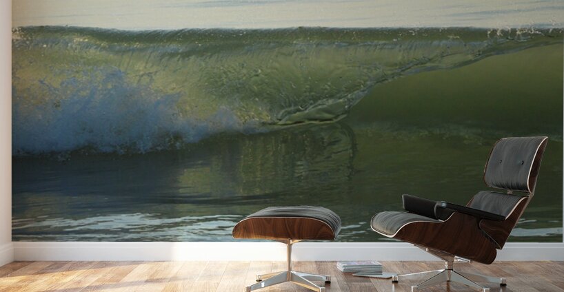 Glass Reflection  36.24 Wall Murals