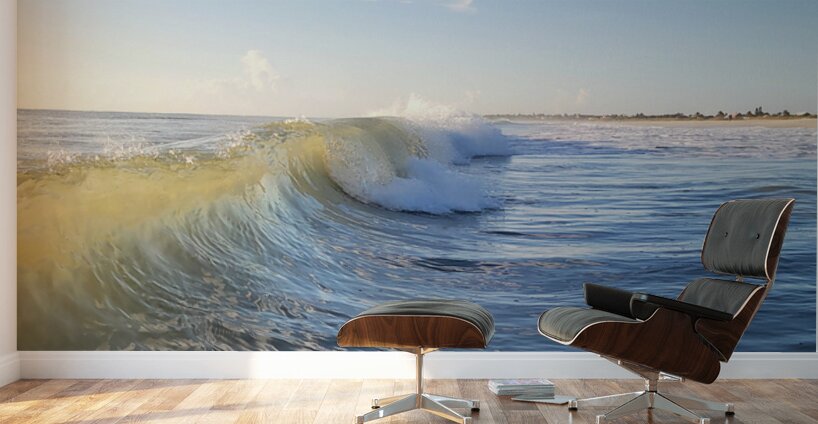 Translucent Wave  48.36 Wall Murals