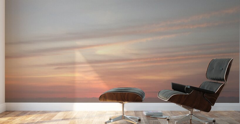 Dawn Hues  72.24 Wall Murals