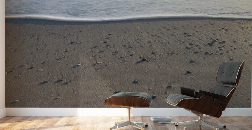 Foam Line with Shells 55.31 Wall Murals