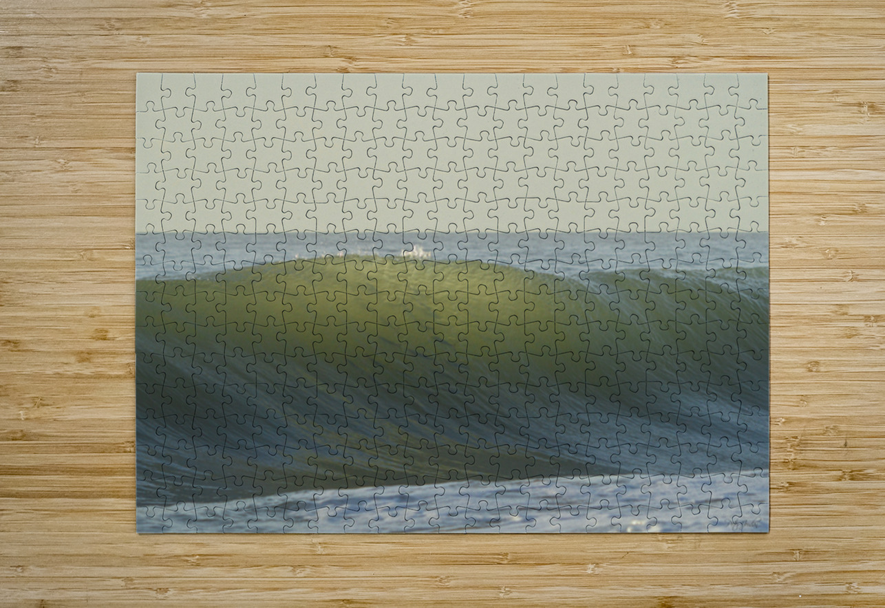 Fish Shadows  36.24 Peter Jordan Puzzle printing