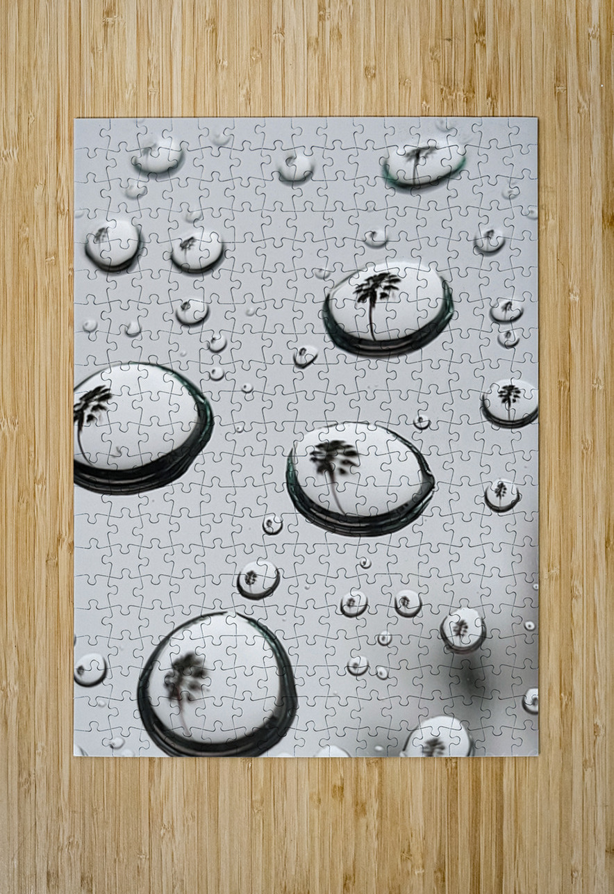 Palm Tree Thoughts One 54.72 Peter Jordan Puzzle printing