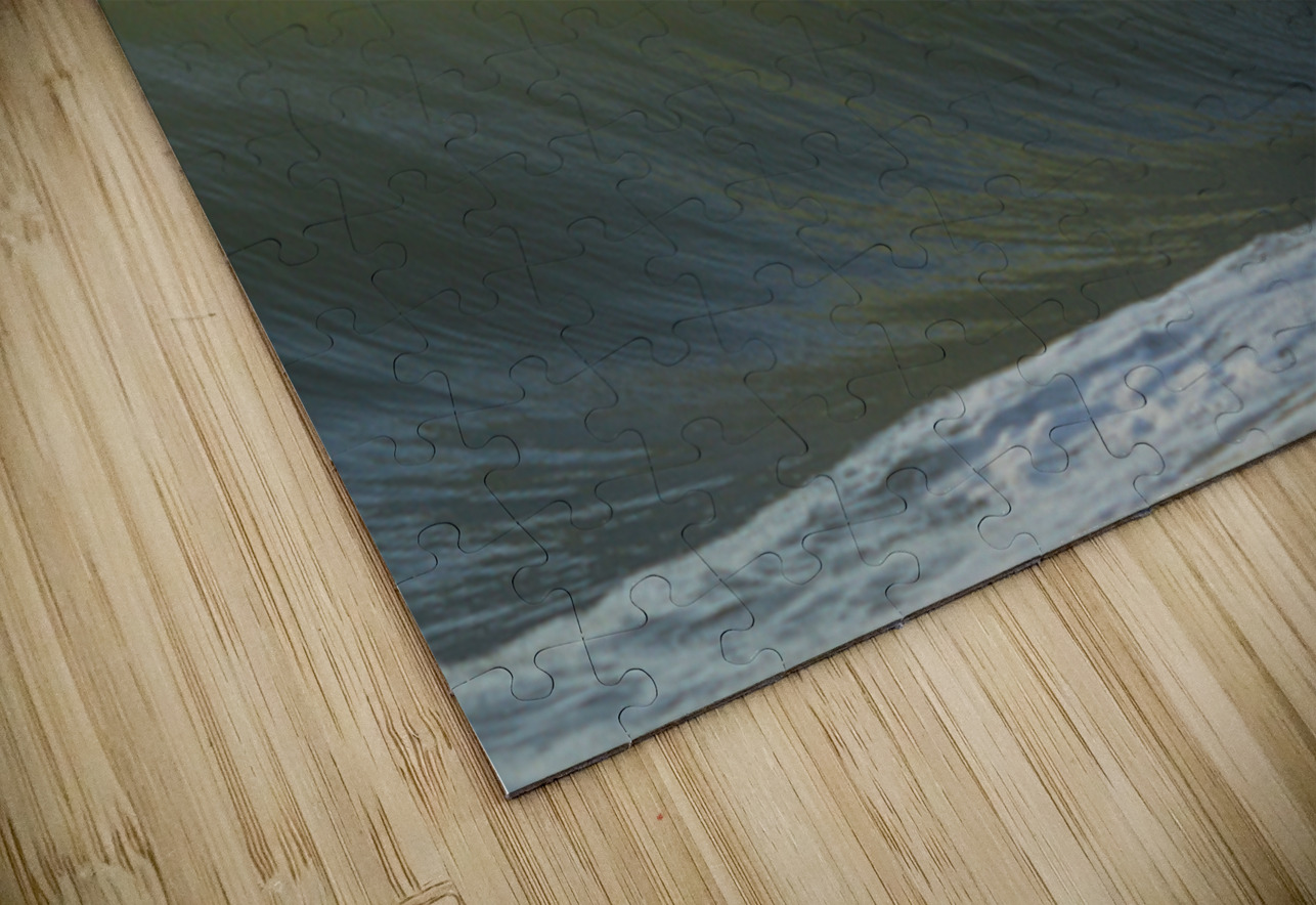 Fish Shadows  36.24 Peter Jordan Puzzle