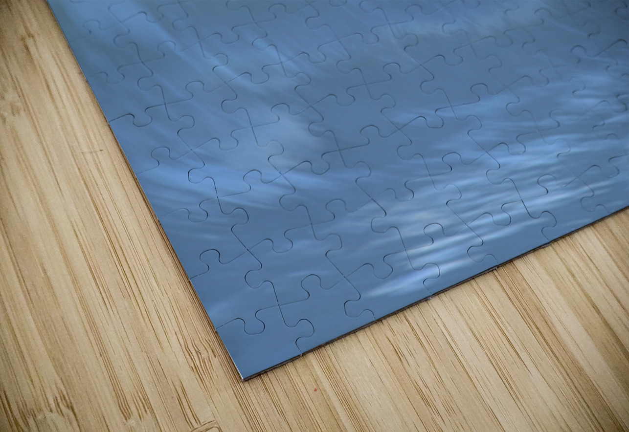 Blue Curl 60.40 Peter Jordan Puzzle